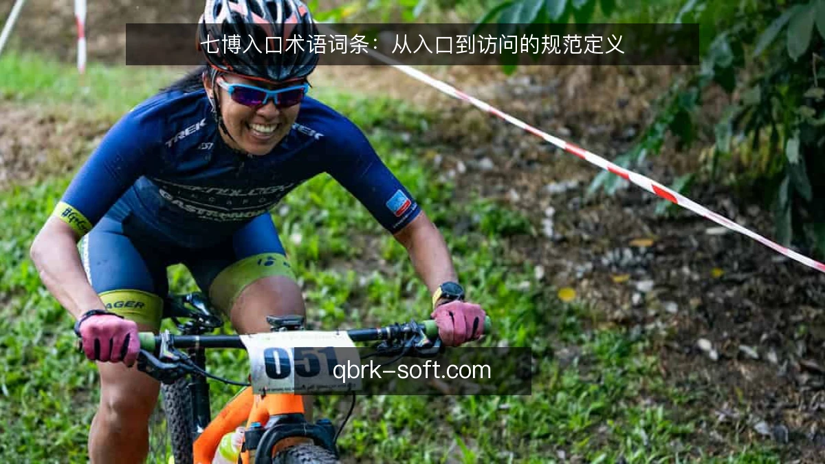 七博入口术语词条：从入口到访问的规范定义