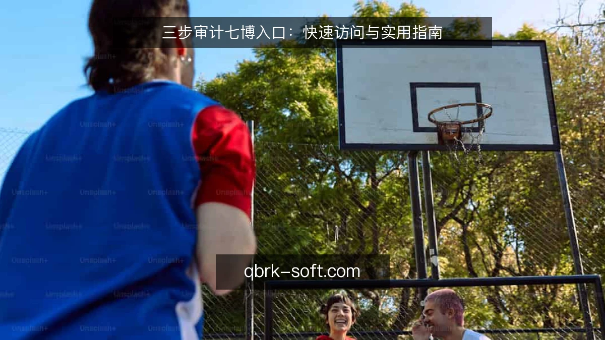 三步审计七博入口:快速访问与实用指南