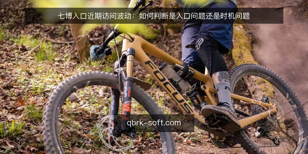 七博入口近期访问波动:如何判断是入口问题还是时机问题 — 当前七博入口访问状况如何? 配图