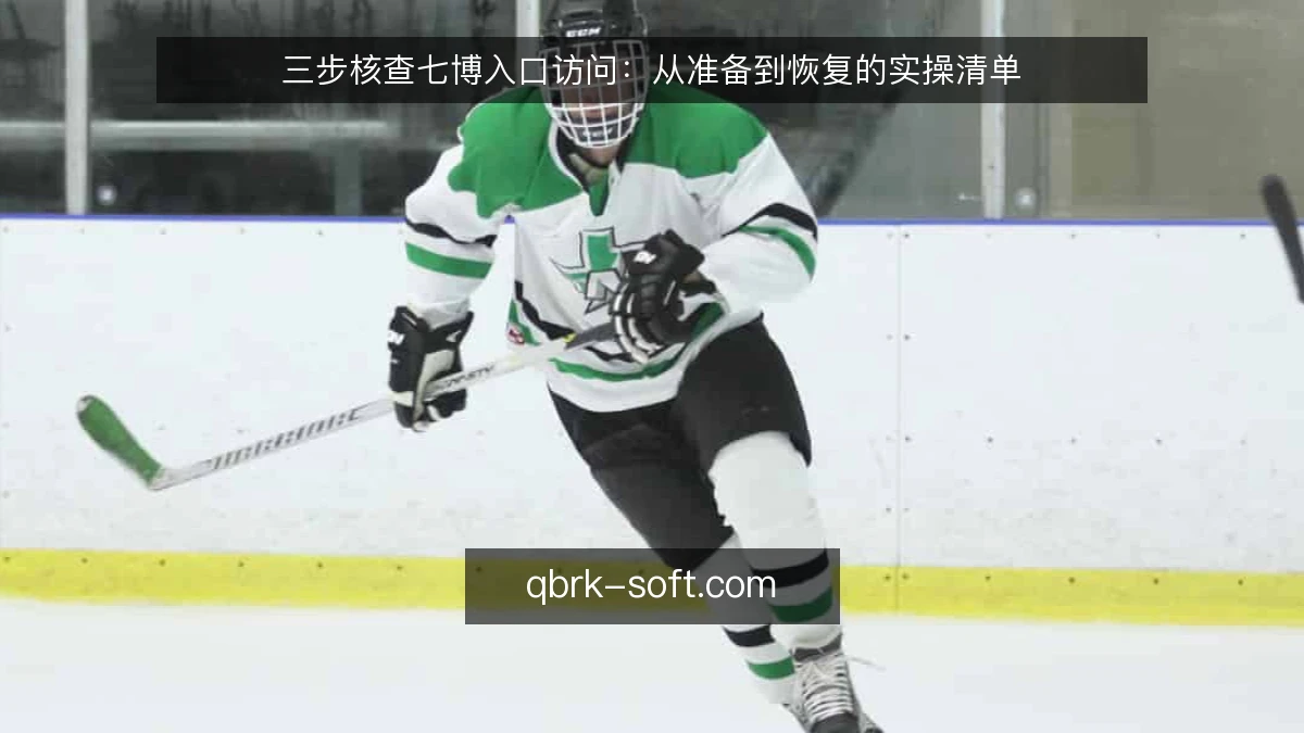 三步核查七博入口访问：从准备到恢复的实操清单