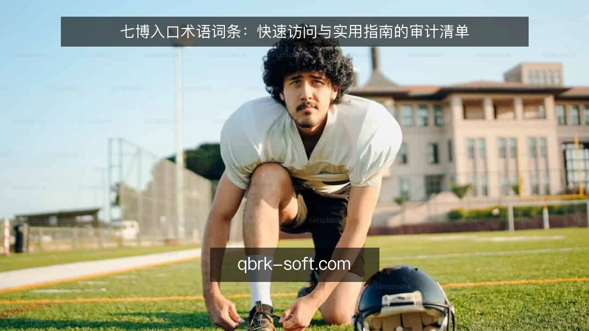 七博入口术语词条:快速访问与实用指南的审计清单