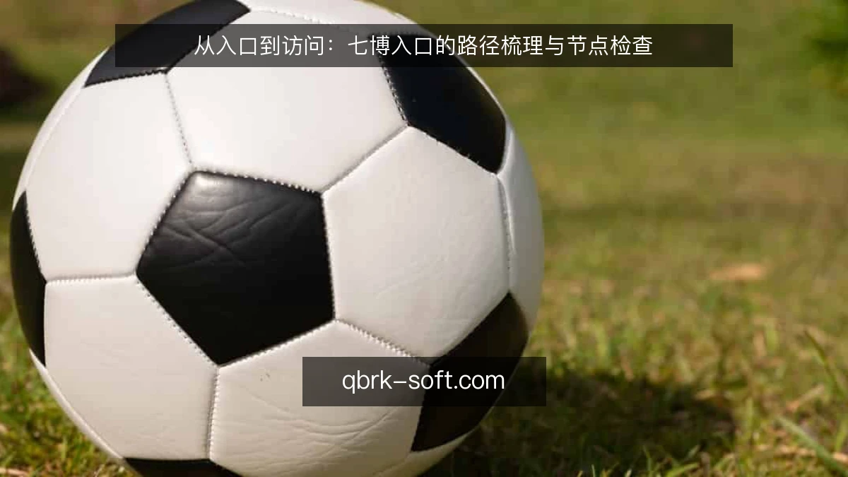 从入口到访问:七博入口的路径梳理与节点检查