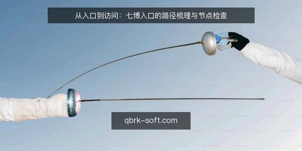 从入口到访问:七博入口的路径梳理与节点检查 — 确认起点:当前访问状态与基础环境 配图