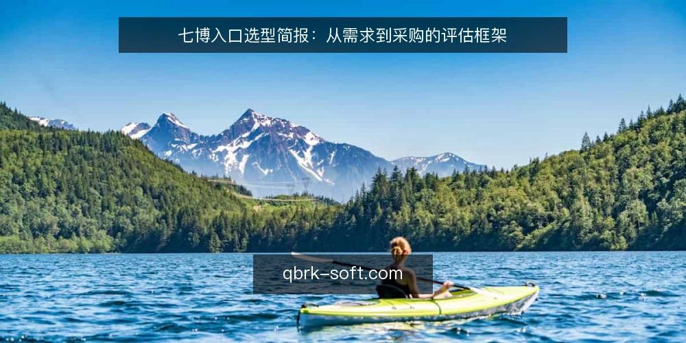七博入口选型简报：从需求到采购的评估框架 — 明确入口需求 配图