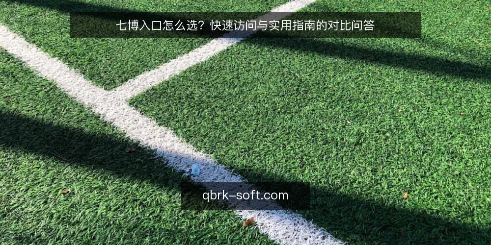 七博入口怎么选?快速访问与实用指南的对比问答 — 先定标准:入口选型要看哪几件事? 配图