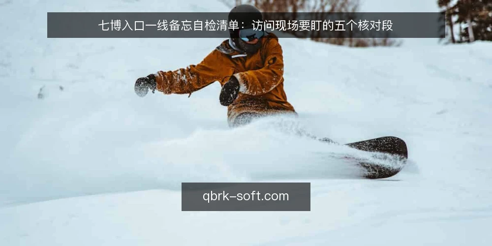 七博入口一线备忘自检清单:访问现场要盯的五个核对段 — 现场要盯的信号 配图