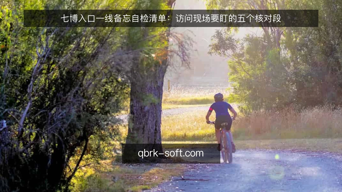 七博入口一线备忘自检清单:访问现场要盯的五个核对段