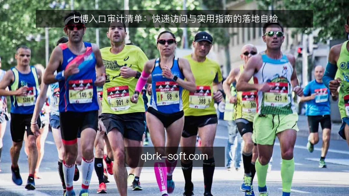 七博入口审计清单:快速访问与实用指南的落地自检
